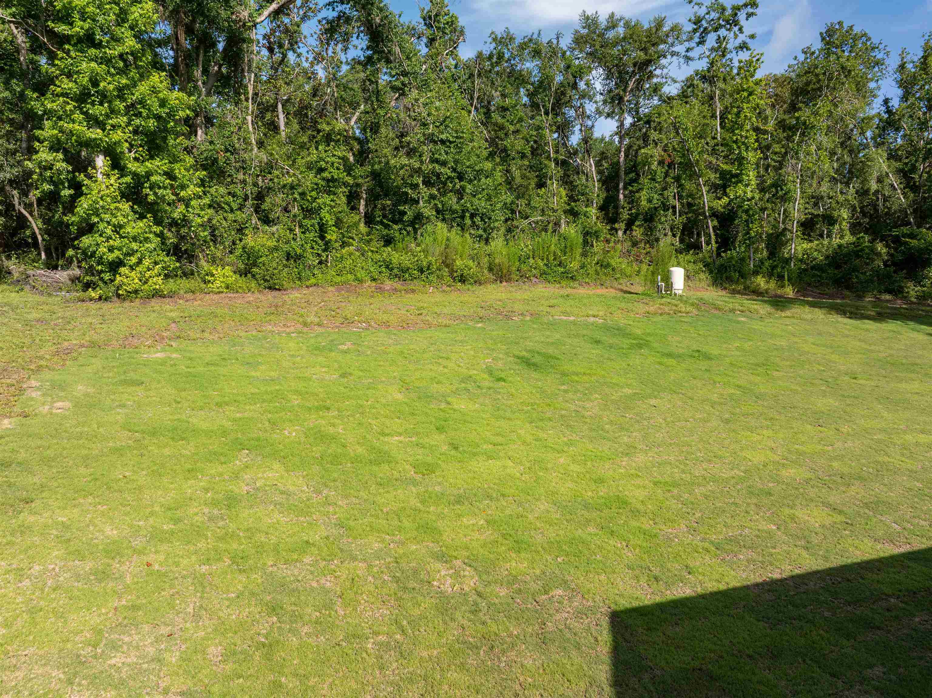 236 Southwest Country Club Estates Road Madison, FL 32340 - Photo 5 of 39 Gallery Image 5