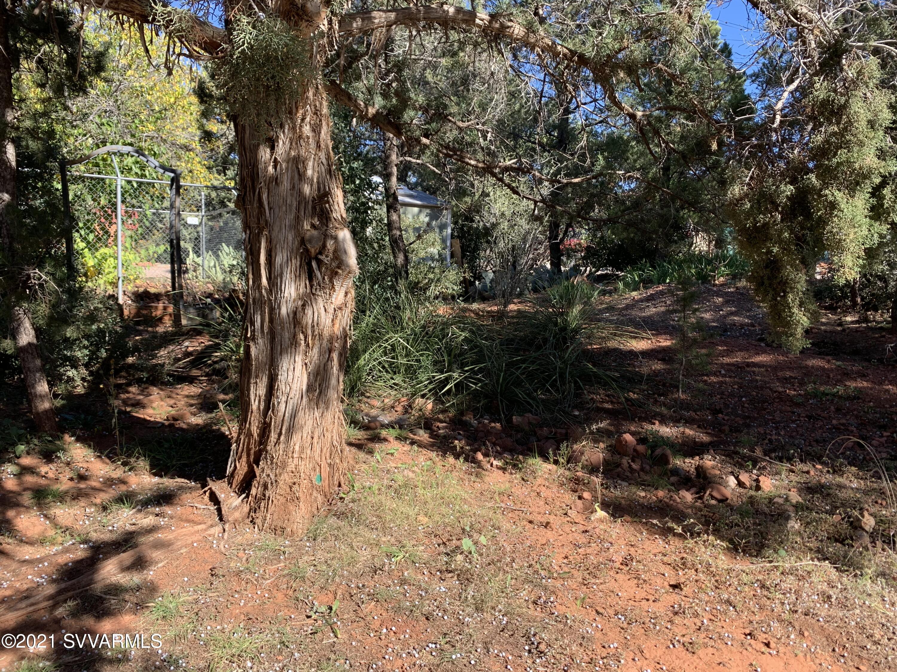 1580 West State Rte 89A, Unit 2 Sedona, AZ 86336 - Photo 6 of 8 Nice vegitation
