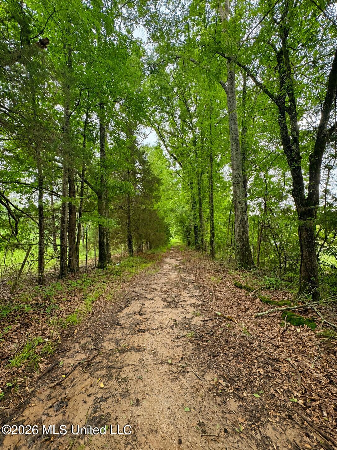 13610 Lebanon Pinegrove Road Terry, MS 39170 - Photo 1 of 13 4842F468-6071-44B8-A3EE-37000BF4B99E