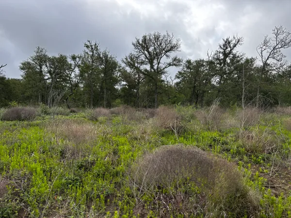 $375,000 | 683 County Road 467, Elgin, TX 78621