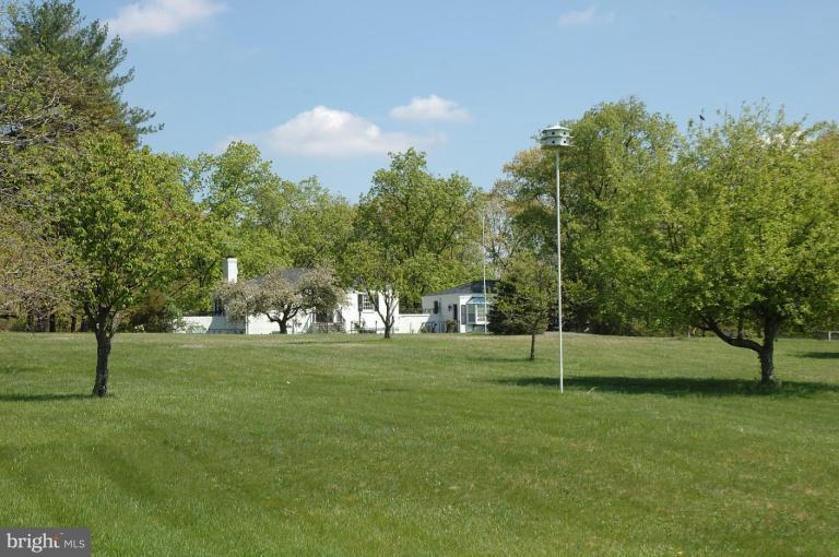 20166 Hogback Mountain Road Leesburg, VA 20175 - Photo 9 of 16 a view of a park with large trees