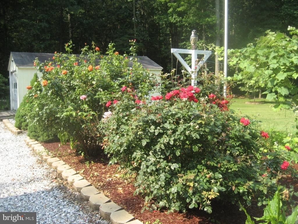 8348 Old Railroad Road Hebron, MD 21830 - Photo 14 of 26