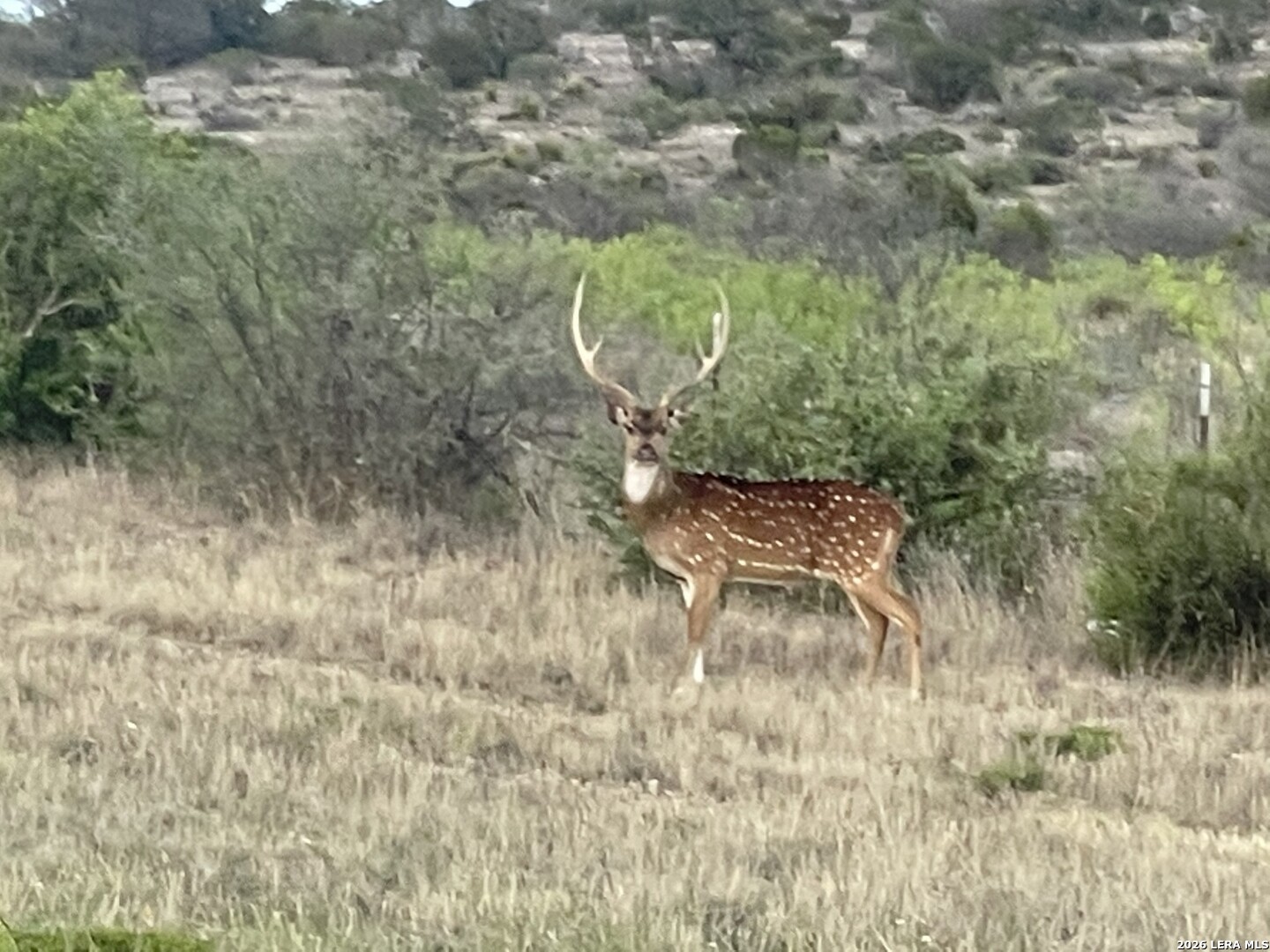 21 North High Lonesome Road Comstock, TX 78837 - Photo 1 of 20