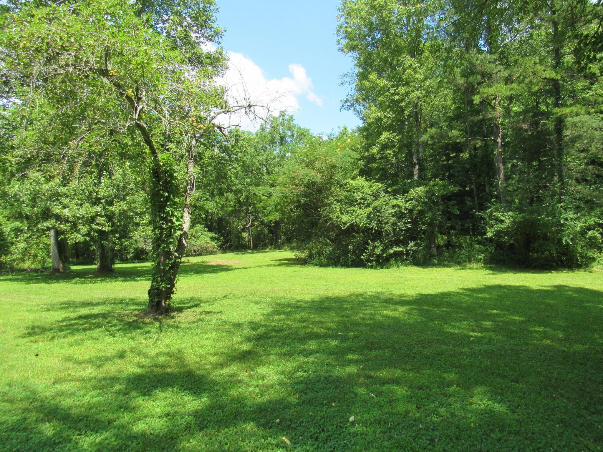 130 Frank Owens Road Lancing, TN 37770 - Photo 28 of 31 a view of outdoor space with deck and yard
