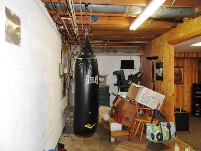 1163 Lower River Road Decatur, TN 37322 - Photo 22 of 30 STORAGE IN BASEMENT