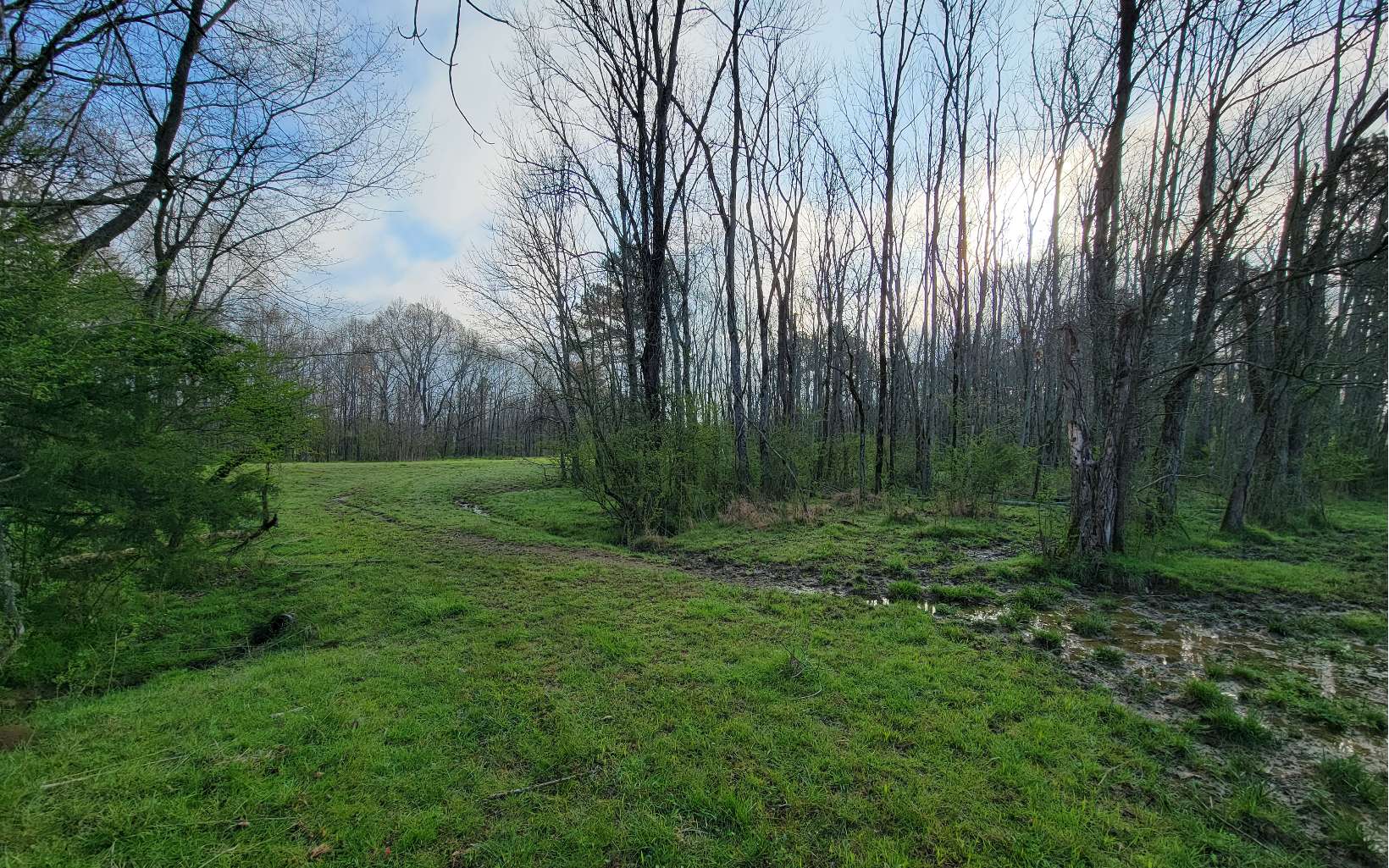 306 Rhinehart Drive Ranger, GA 30734 - Photo 9 of 41 Additional View