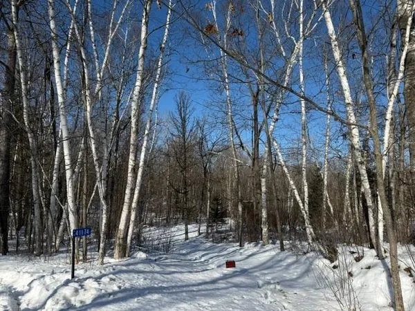 $54,500 | 41174 Yellow Birch Lane, Emily, MN 56447