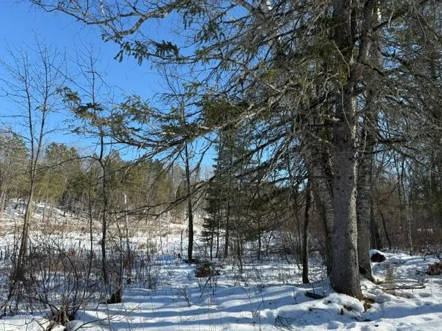 $54,500 | 41174 Yellow Birch Lane, Emily, MN 56447