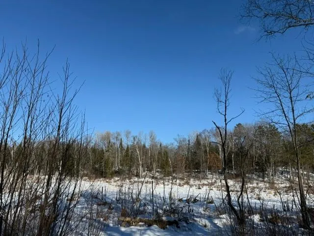 $54,500 | 41174 Yellow Birch Lane, Emily, MN 56447