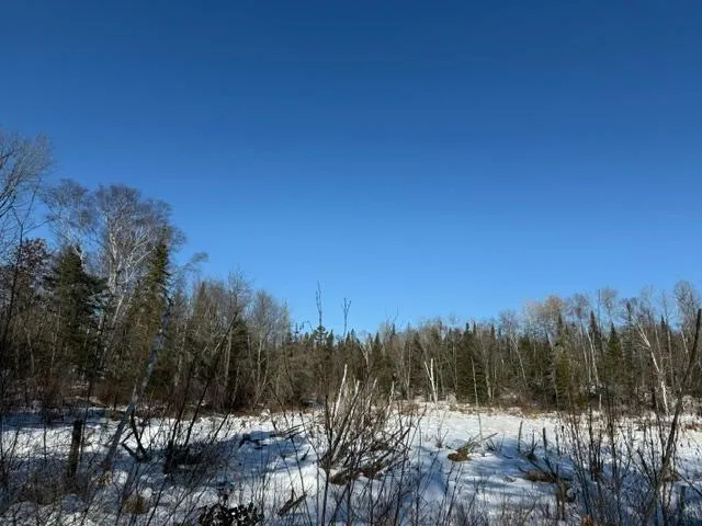 $54,500 | 41174 Yellow Birch Lane, Emily, MN 56447