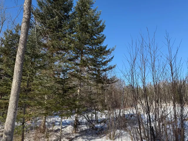 $54,500 | 41174 Yellow Birch Lane, Emily, MN 56447