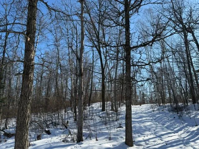 $54,500 | 41174 Yellow Birch Lane, Emily, MN 56447