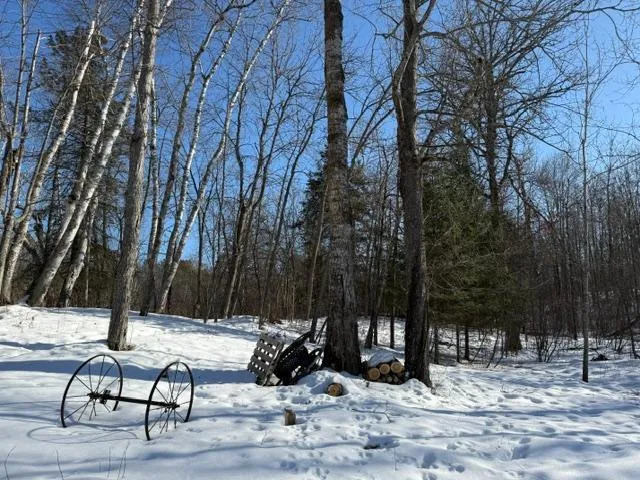 $54,500 | 41174 Yellow Birch Lane, Emily, MN 56447