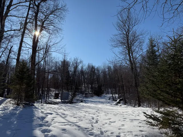 $54,500 | 41174 Yellow Birch Lane, Emily, MN 56447