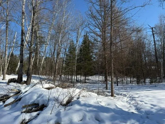 $54,500 | 41174 Yellow Birch Lane, Emily, MN 56447