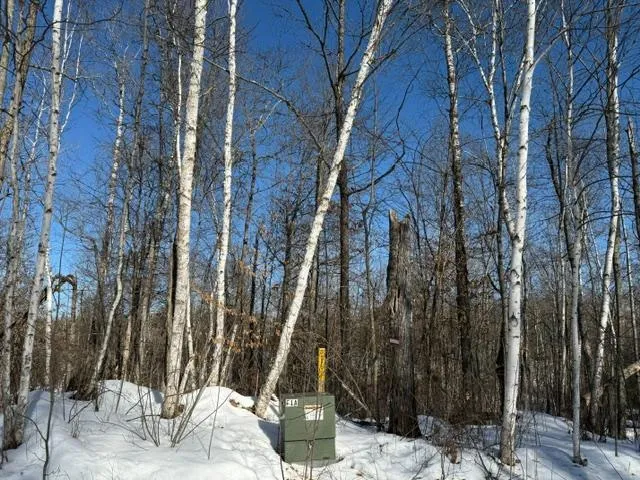 $54,500 | 41174 Yellow Birch Lane, Emily, MN 56447