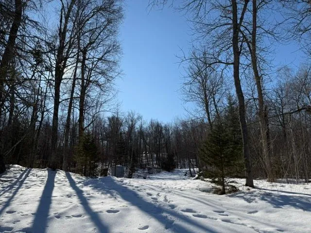 $54,500 | 41174 Yellow Birch Lane, Emily, MN 56447
