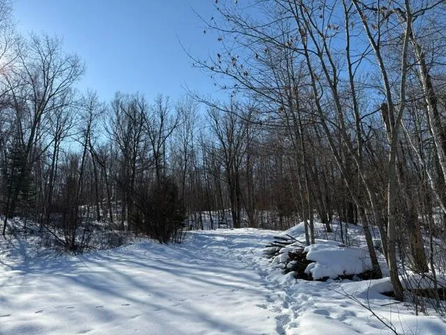 $54,500 | 41174 Yellow Birch Lane, Emily, MN 56447