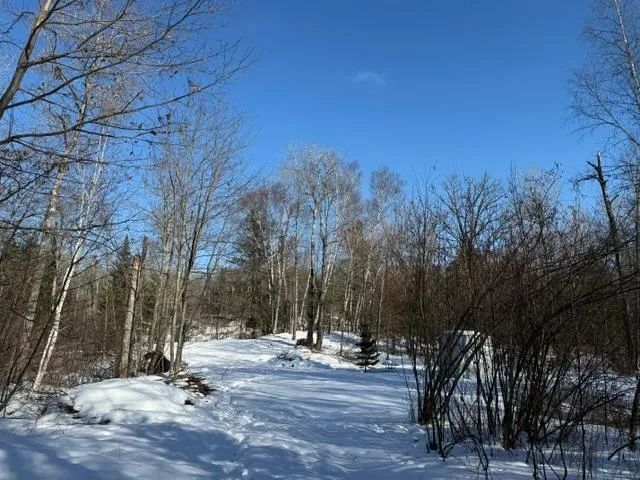 $54,500 | 41174 Yellow Birch Lane, Emily, MN 56447