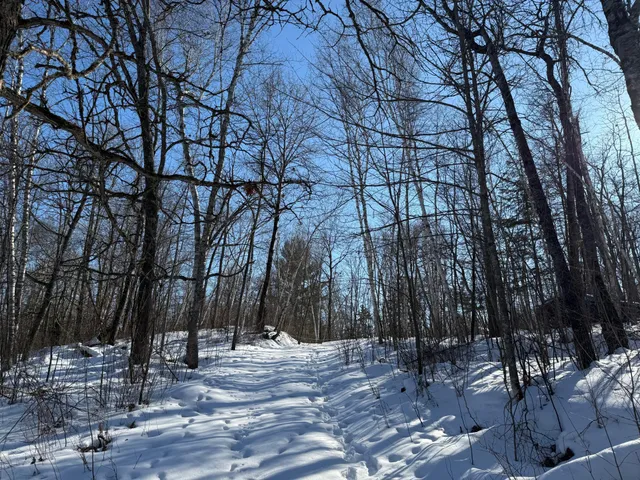 $54,500 | 41174 Yellow Birch Lane, Emily, MN 56447