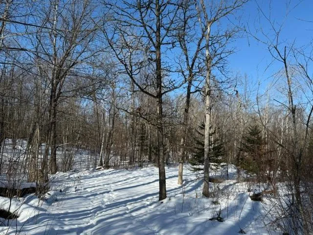 $54,500 | 41174 Yellow Birch Lane, Emily, MN 56447