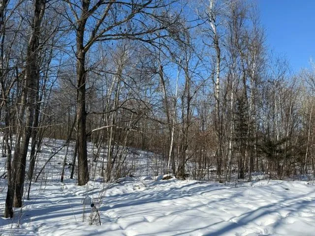 $54,500 | 41174 Yellow Birch Lane, Emily, MN 56447