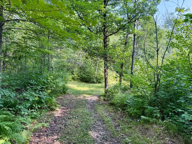 $54,500 | 41174 Yellow Birch Lane, Emily, MN 56447