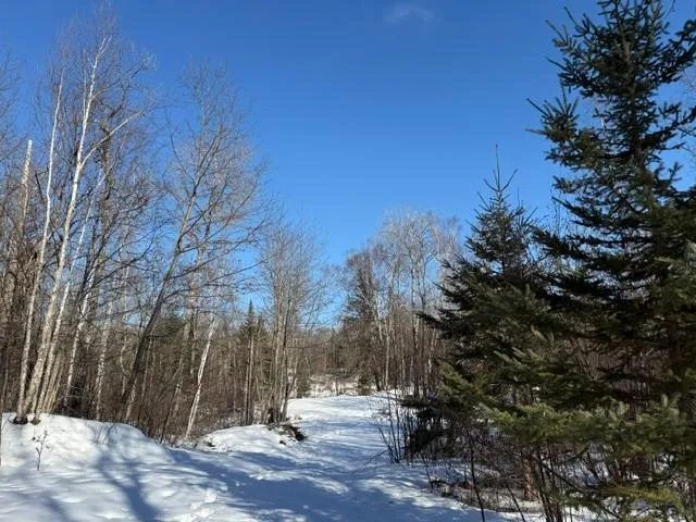 $54,500 | 41174 Yellow Birch Lane, Emily, MN 56447