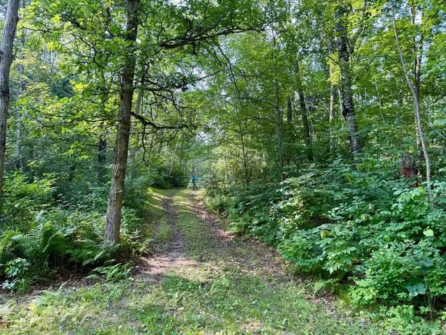 $54,500 | 41174 Yellow Birch Lane, Emily, MN 56447