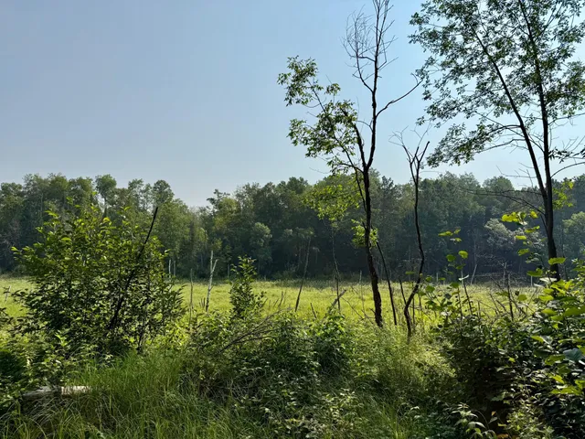 $54,500 | 41174 Yellow Birch Lane, Emily, MN 56447