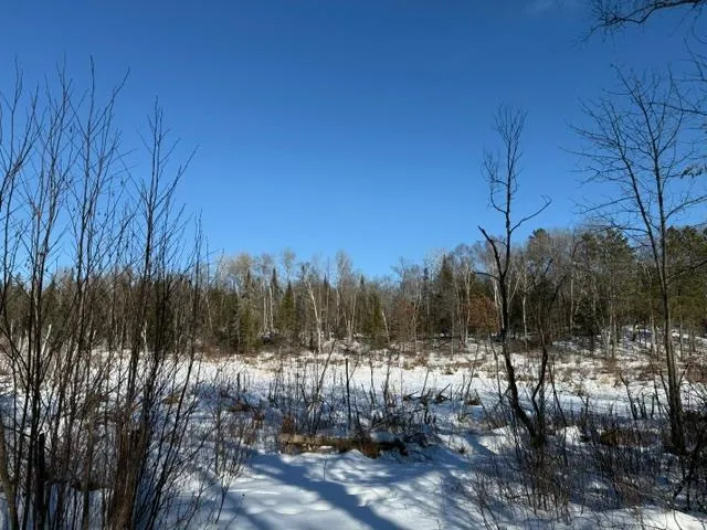 $54,500 | 41174 Yellow Birch Lane, Emily, MN 56447