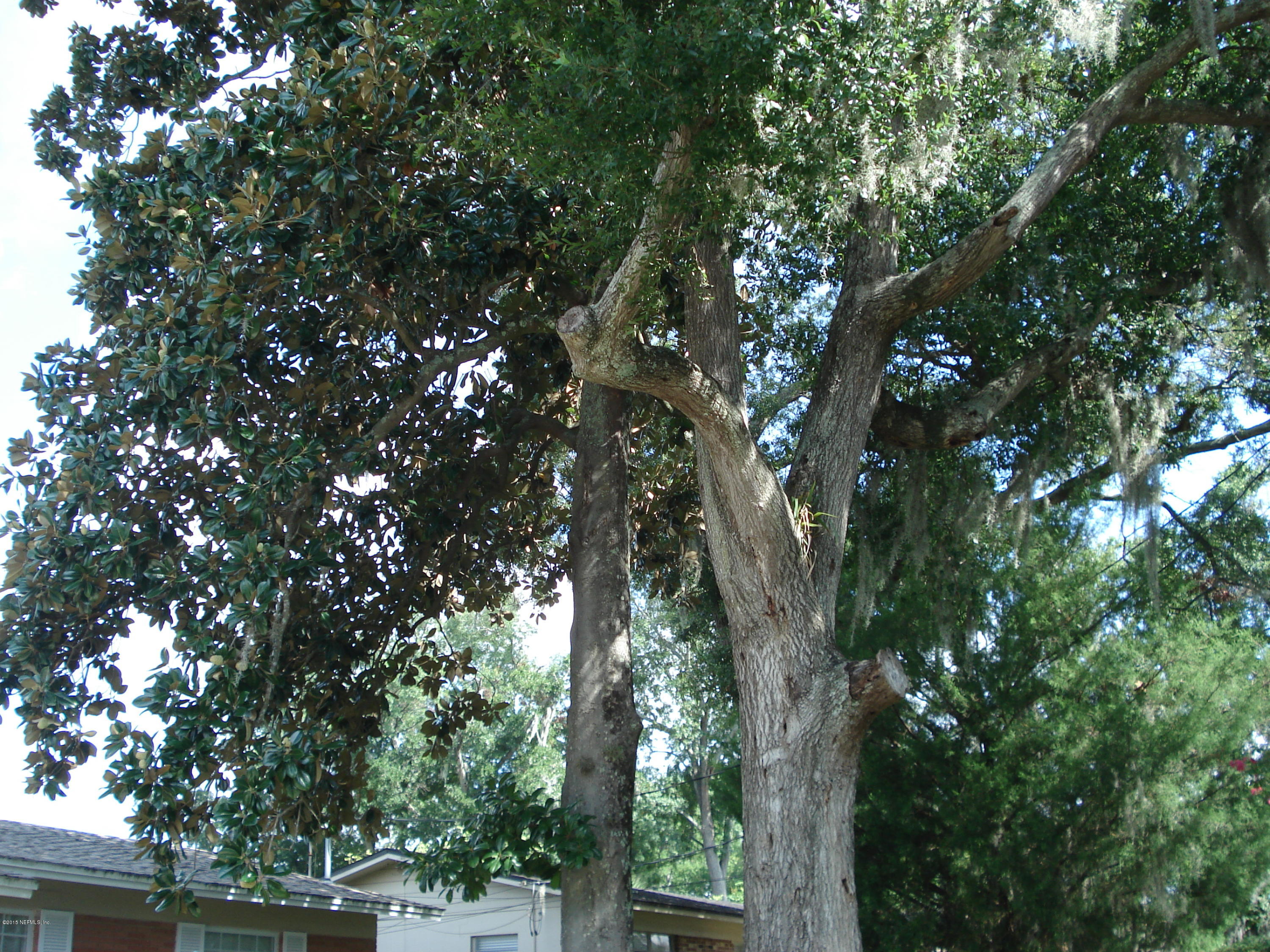 11112 Emuness Road Jacksonville, FL 32218 - Photo 3 of 26 DSC04037