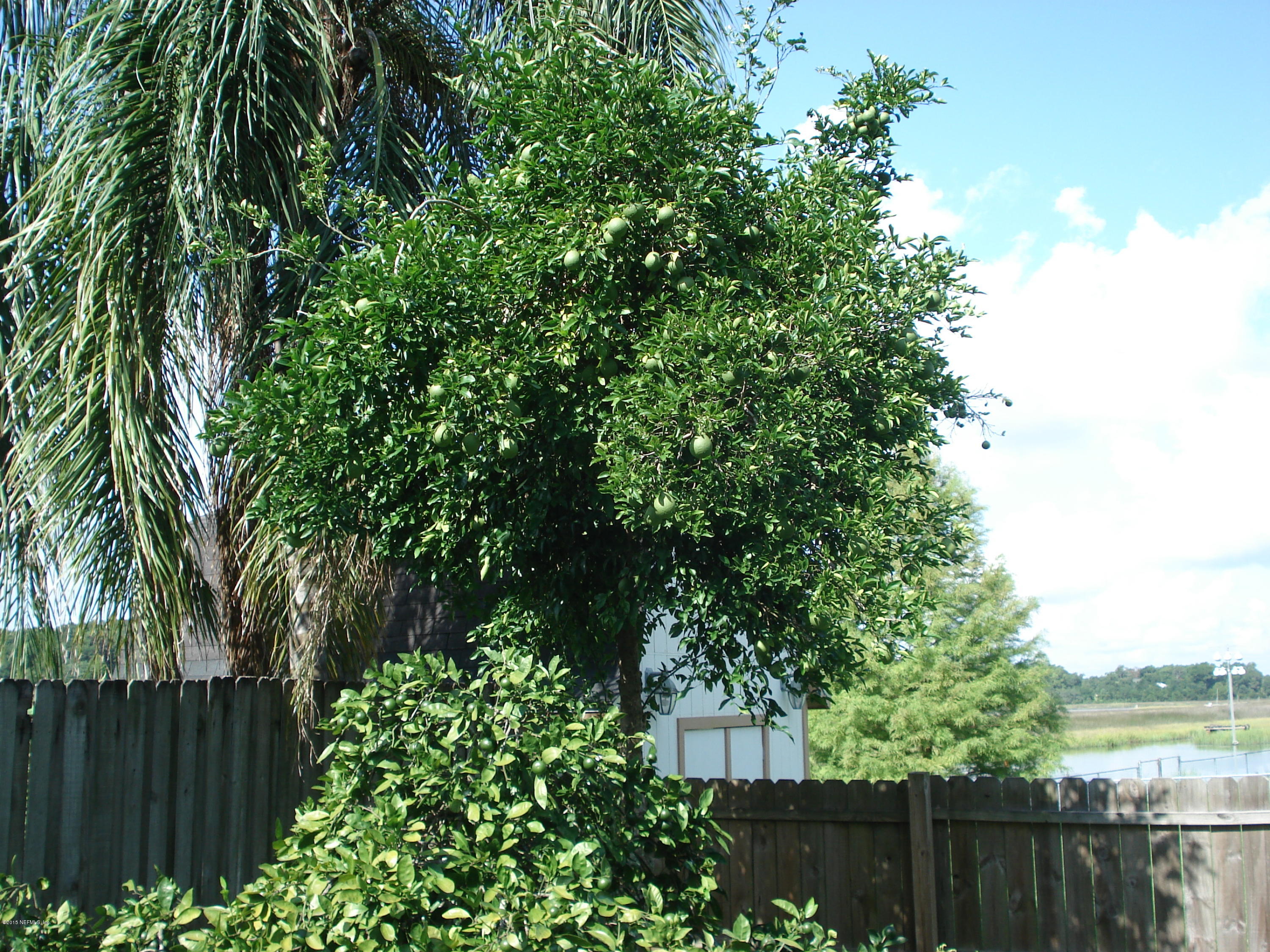 11112 Emuness Road Jacksonville, FL 32218 - Photo 5 of 26 DSC04024