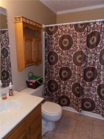 1568 Camp Ravine Road Burns, TN 37029 - Photo 11 of 20 a bathroom with a toilet and a sink