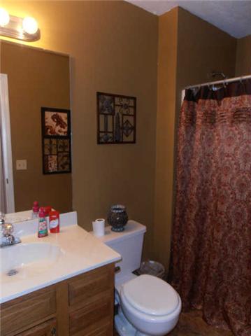 1568 Camp Ravine Road Burns, TN 37029 - Photo 14 of 20 a bathroom with a sink and a toilet