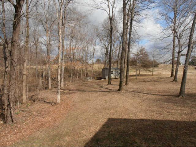 1568 Camp Ravine Road Burns, TN 37029 - Photo 5 of 20 a view of outdoor space with trees