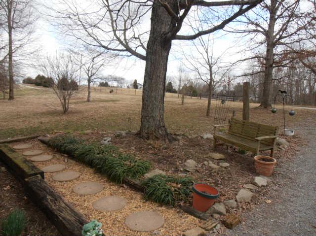 1568 Camp Ravine Road Burns, TN 37029 - Photo 7 of 20 a backyard of a house with lots of green space