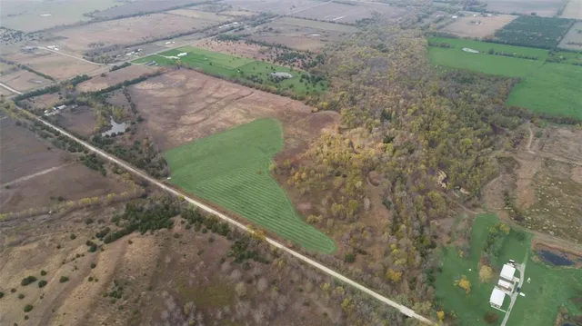 a view of a yard with potted plants