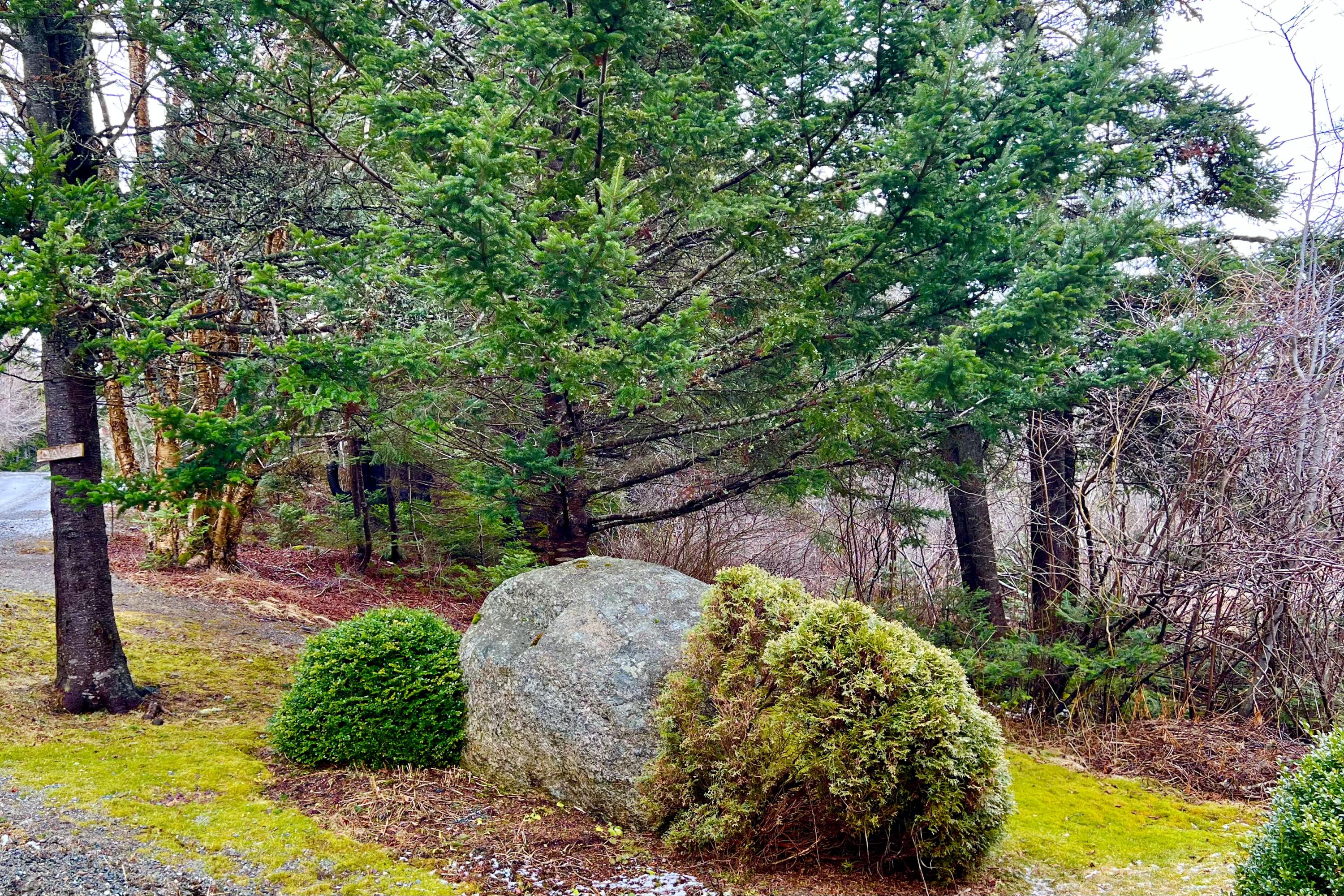 177 Richtown Road Tremont, ME 04612 - Photo 49 of 59 Beginning Of The Driveway