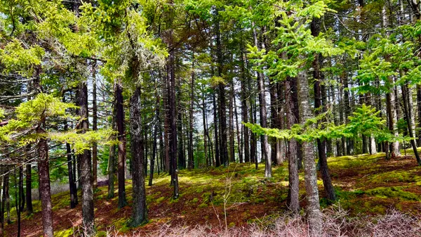 $1,028,000 | 177 Richtown Road, Tremont, ME 04612