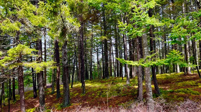 $1,094,000 | 177 Richtown Road, Tremont, ME 04612