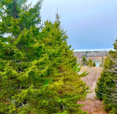 $1,028,000 | 177 Richtown Road, Tremont, ME 04612