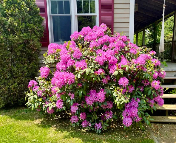 $1,094,000 | 177 Richtown Road, Tremont, ME 04612