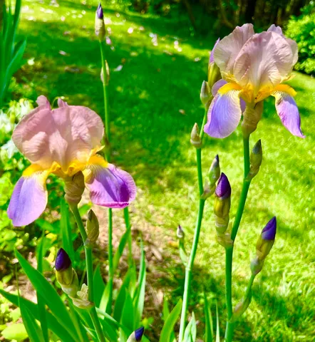 $1,094,000 | 177 Richtown Road, Tremont, ME 04612