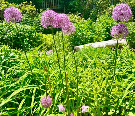 $1,094,000 | 177 Richtown Road, Tremont, ME 04612