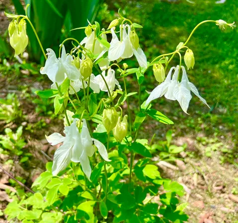 $1,028,000 | 177 Richtown Road, Tremont, ME 04612