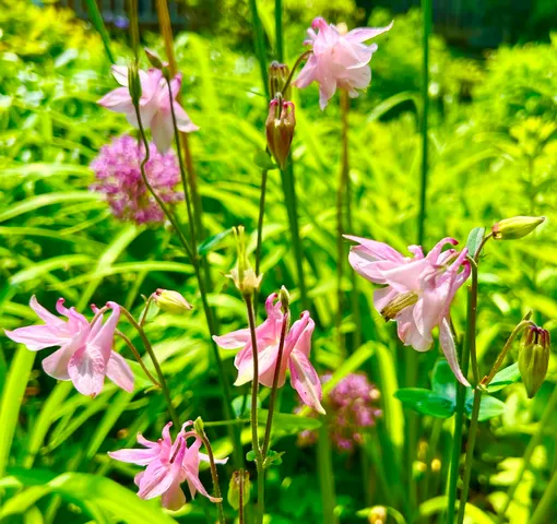 $1,094,000 | 177 Richtown Road, Tremont, ME 04612