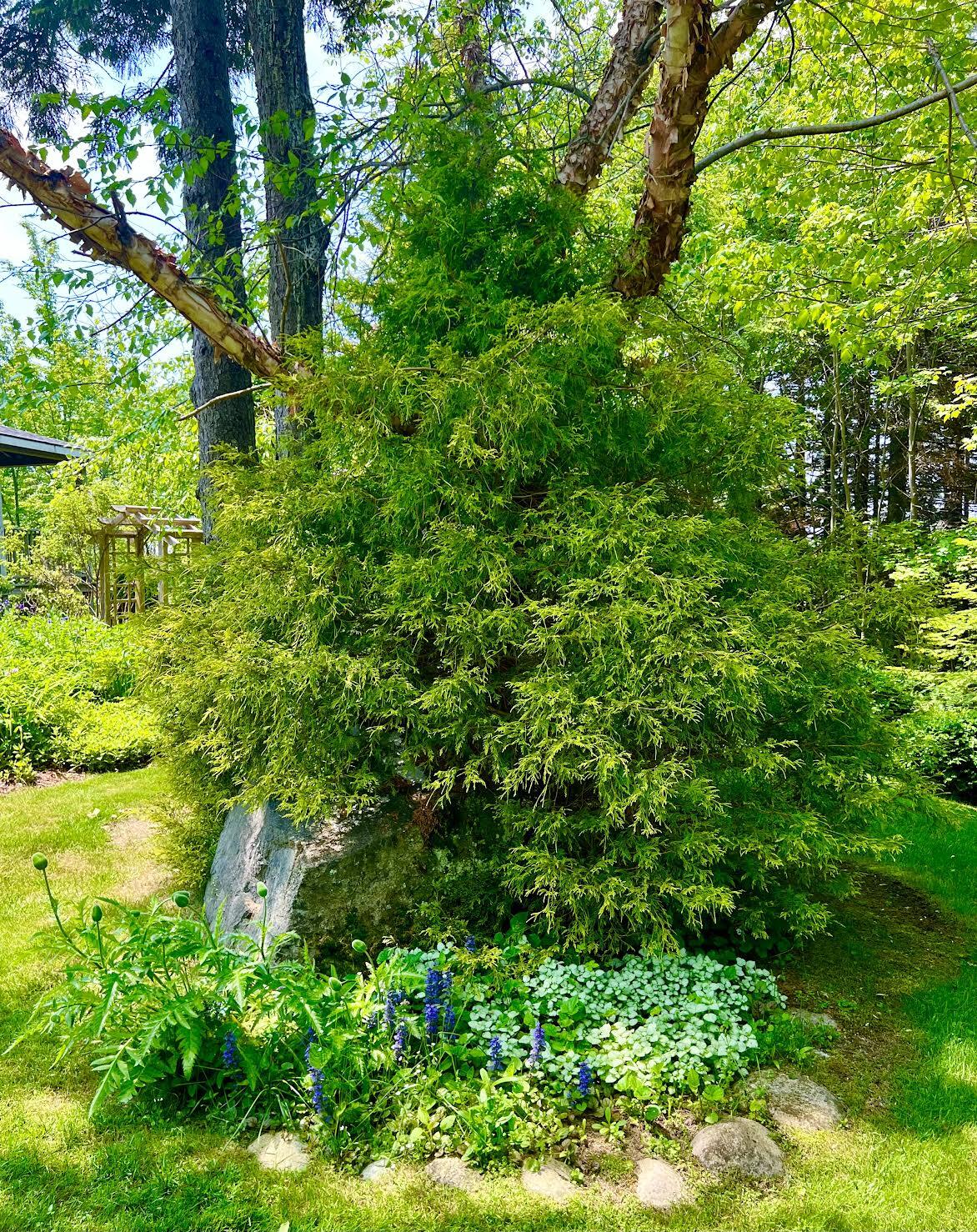 177 Richtown Road Tremont, ME 04612 - Photo 57 of 59 Grounds