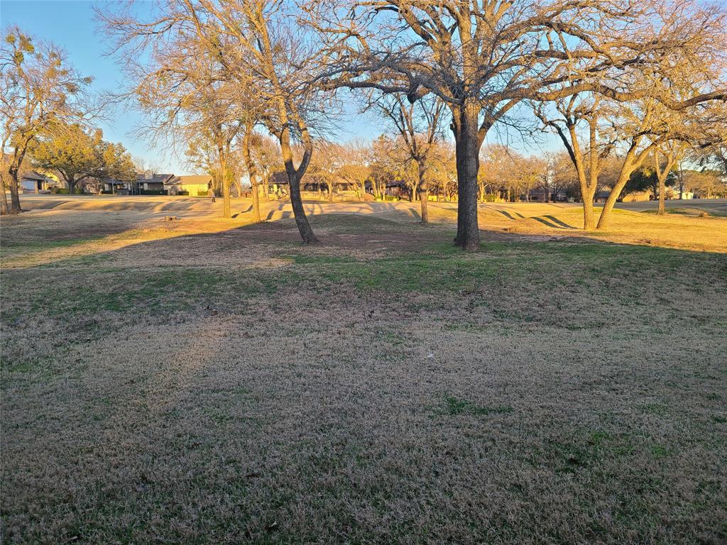 8921 Bontura Road Granbury, TX 76049 - Photo 23 of 26 a view of dirt yard with large tree