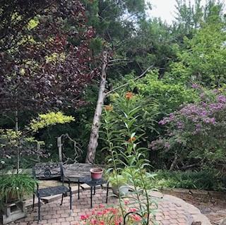 3306 Harbor Pointe Drive Rowlett, TX 75088 - Photo 35 of 40 Spring folliage